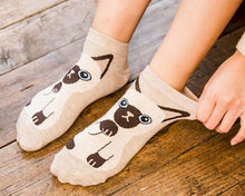 Load image into Gallery viewer, kawaii cute socks cat ankle socks
