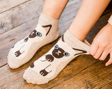 Load image into Gallery viewer, kawaii cute socks cat ankle socks