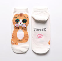 Load image into Gallery viewer, cat socks funky socks cotton socks