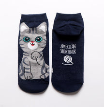 Load image into Gallery viewer, american short hair kawaii cat socks cute-Boutique Local NOVMTL