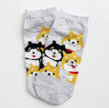 Load image into Gallery viewer, kawaii cute socks dog ankle socks cotton