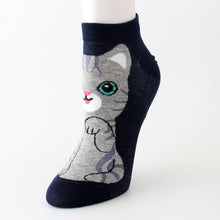 Load image into Gallery viewer, american short hair kawaii cat socks cute-Boutique Local NOVMTL