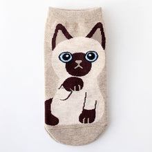Load image into Gallery viewer, siamese cat socks american short hair kawaii cat socks cute-Boutique Local NOVMTL