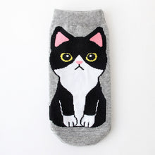 Load image into Gallery viewer, Kawaii Cute Ankle Socks - Tuxedo - Boutique Local NOVMTL

