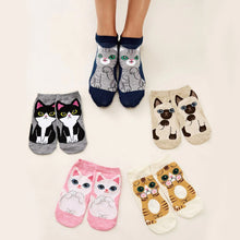 Load image into Gallery viewer, cat socks funky socks cotton socks