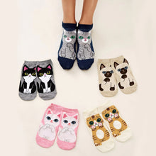 Load image into Gallery viewer, Kawaii Cute Cat Ankle Socks - Set of 5
