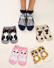 Load image into Gallery viewer, cat socks funky socks cotton socks