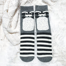 Load image into Gallery viewer, Cozy Cotton Socks - Raccoons