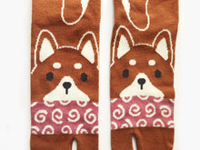 Load image into Gallery viewer, akita tabi socks dog puppy cute kawaii socks toe socks-Boutique Local NOVMTL
