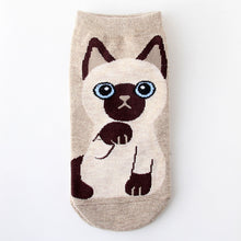 Load image into Gallery viewer, siamese cat socks american short hair kawaii cat socks cute-Boutique Local NOVMTL
