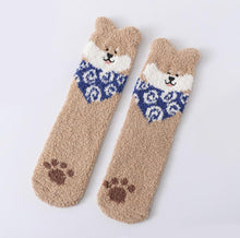 Load image into Gallery viewer, shiba socks kawaii dog cute room socks cozy at home
