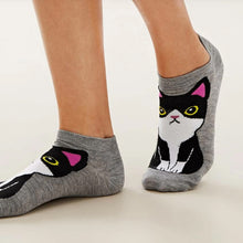 Load image into Gallery viewer, cat socks funky socks cotton socks

