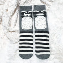 Load image into Gallery viewer, Cozy Cotton Socks - Raccoons

